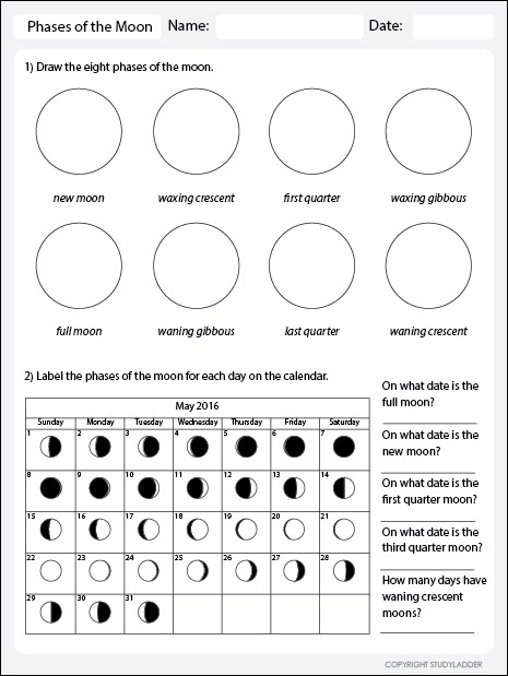Studyladder, Online English Literacy & Mathematics  Kids Activity